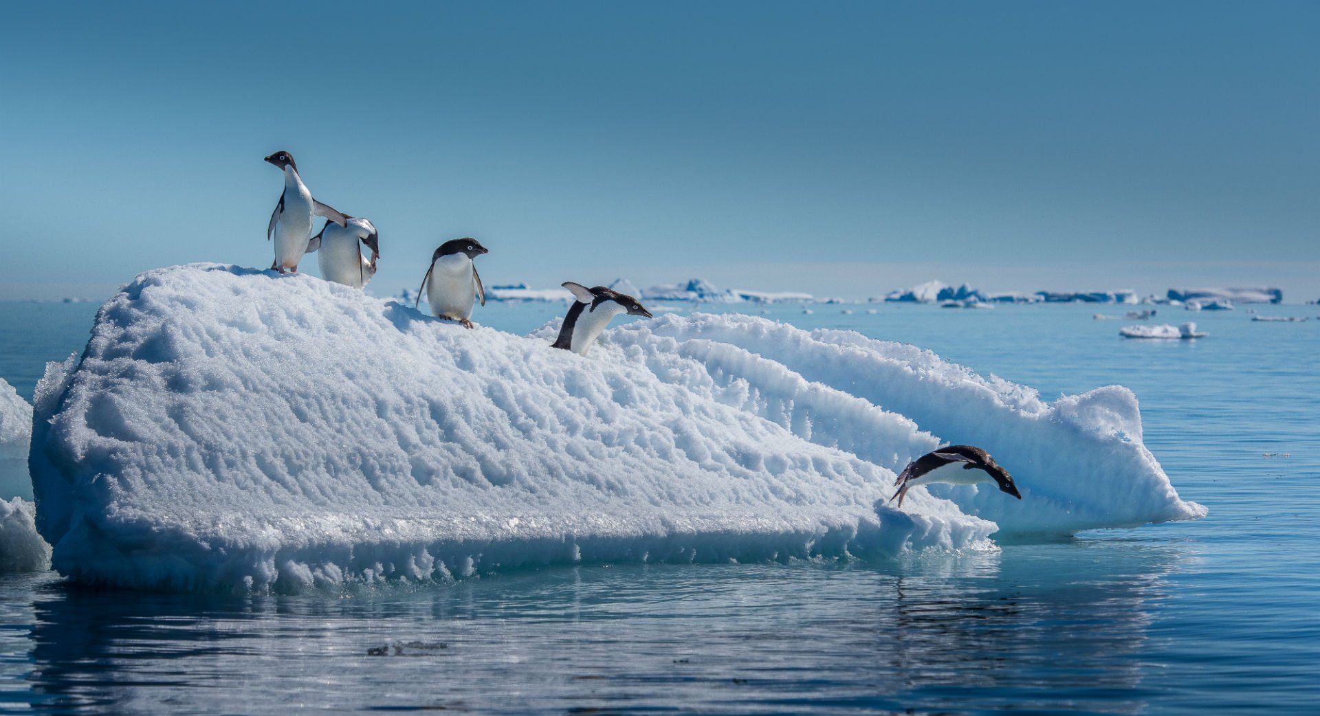 penguins-antarctica-shutterstock_573319750