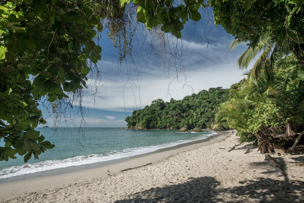 Best beaches around Manuel Antonio Rough Guides Rough Guides