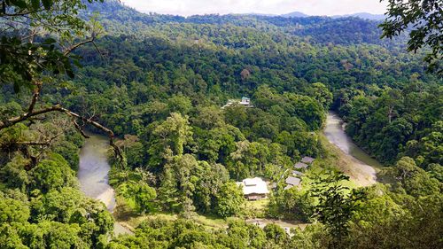 Danum Valley, Malaysia