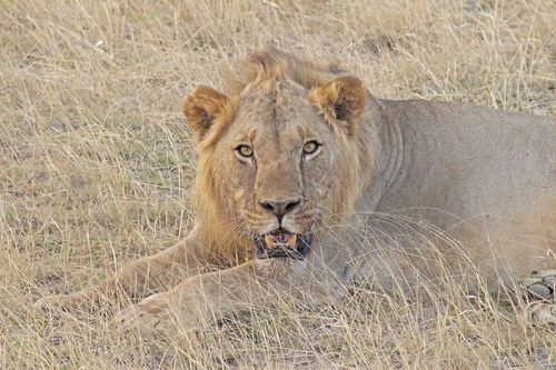 Lake Nakuru National Park