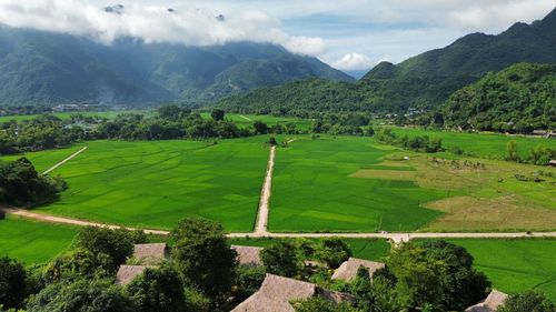 Mai Chau