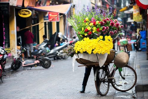 Side Street of Hanoi