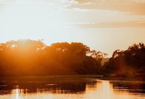 Sunset Pantanal, Brazil
