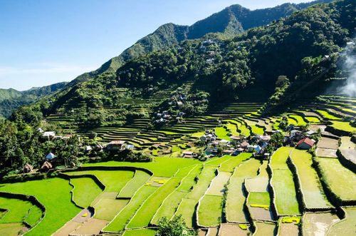 Philippines rice terrace in Banaue