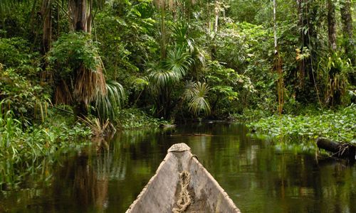 Dugout canoe in blackwater stream, Yasuni National Park Biosphere Reserve, Amazon rainforest, Ecuador