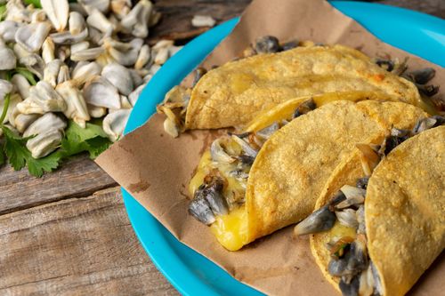 Traditional mexican corn smut quesadilla also called "huitlacoche" ©  Guajillo studio/Shutterstock