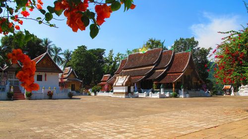Laos