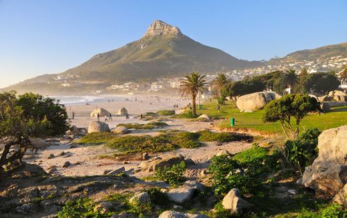 Lion's Head, Cape Town, South Africa