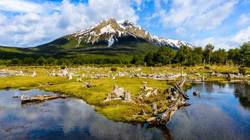 Incredible landscape of the Ushuaia National Park, Argentina, South America