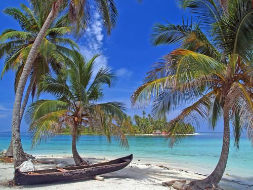 Tropical white sand beach