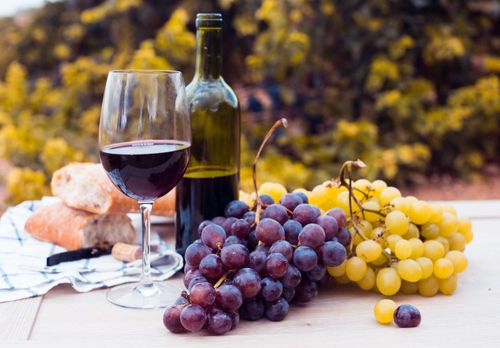 The Wine of La Rioja