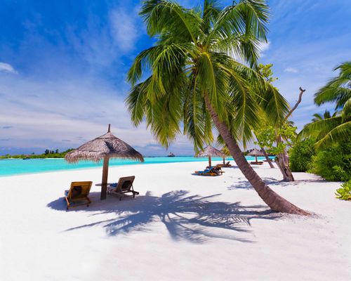 Deck chairs under umbrellas and palm trees on a tropical beach in Cambodia